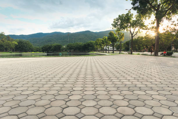 Best Driveway Pavers Contractor  in Sughter, LA