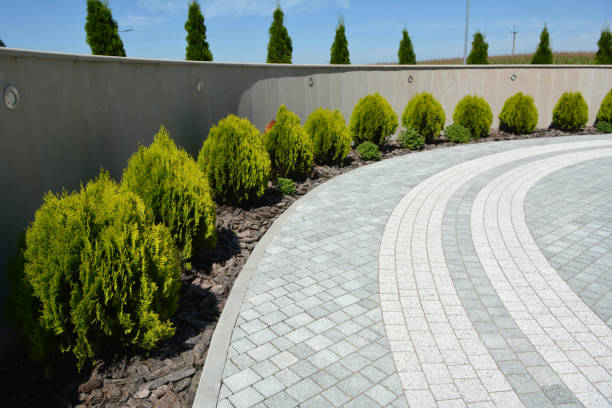 Best Custom Driveway Pavers  in Sughter, LA